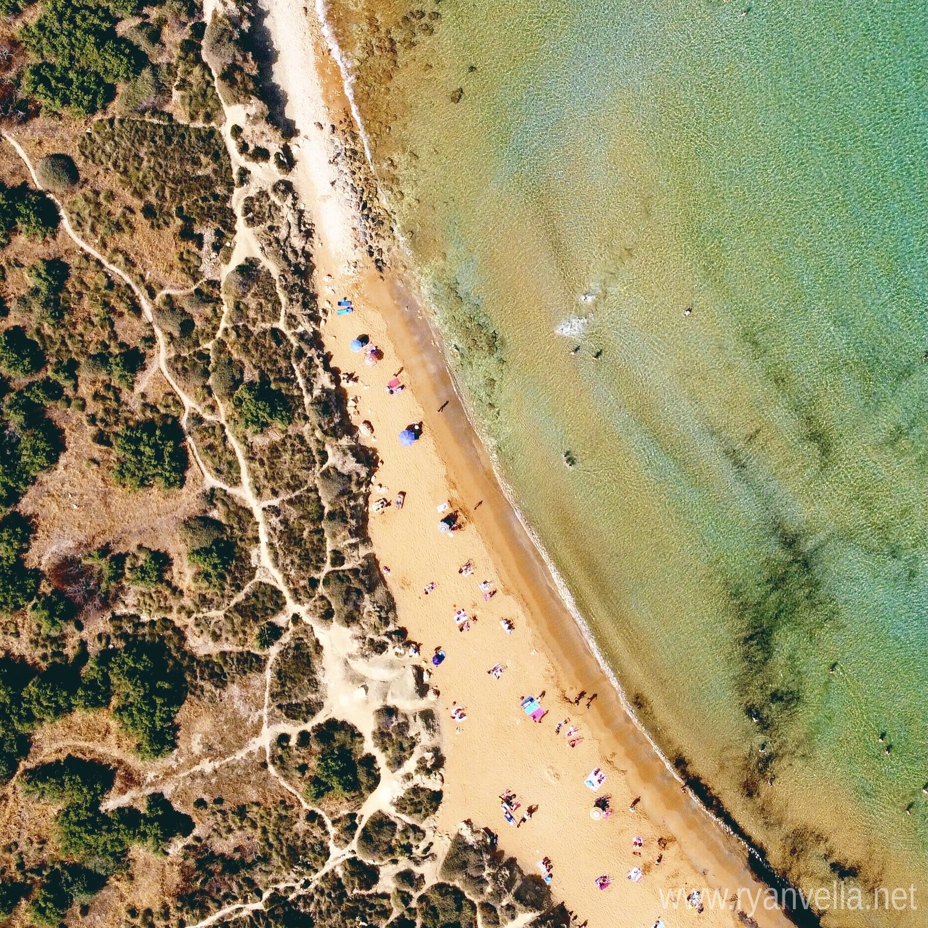 A narrow sandy beach between scrubland and clear green shallows, seen from directly above