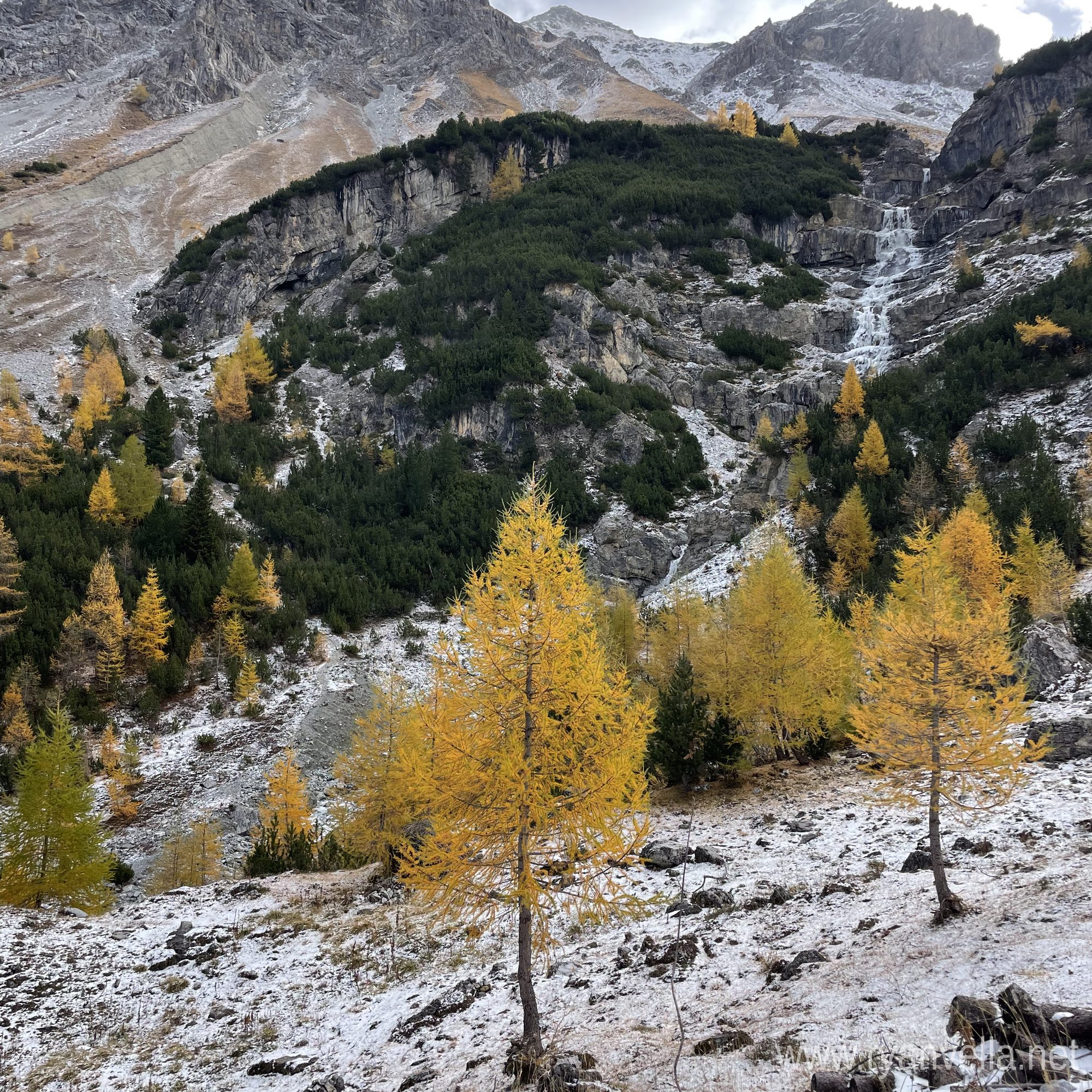 Larches in golden autumn colour on a snow-dusted alpine slope, below a waterfall and grey peaks
